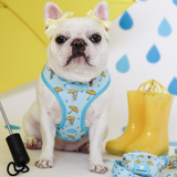 Frenchie Duo Reversible Harness - It's Raining Frenchies from Frenchie Bulldog