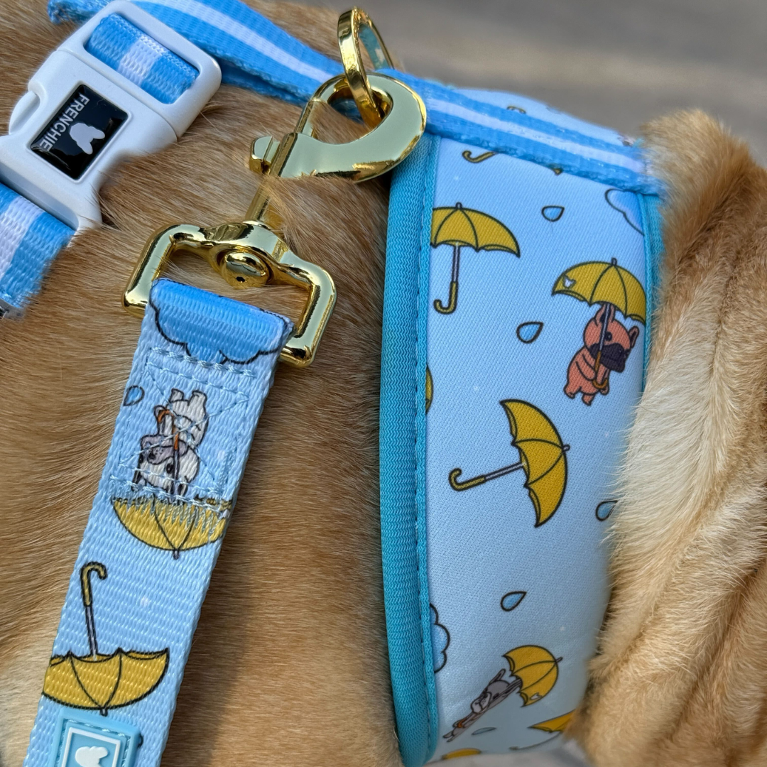 Frenchie Duo Reversible Harness - It's Raining Frenchies from Frenchie Bulldog