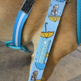 Frenchie Comfort Leash - It's Raining Frenchies from Frenchie Bulldog