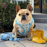Frenchie Duo Reversible Harness - It's Raining Frenchies from Frenchie Bulldog