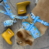 Frenchie Comfort Leash - It's Raining Frenchies from Frenchie Bulldog