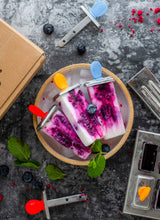 Stainless Steel Popsicle Molds, Mini Square with Stainless Steel Sticks from ecozoi