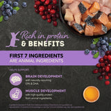 Acana Grain Free Chunks in Broth Kitten Chicken & Salmon Wet Cat Food (3oz) from The Family Pet