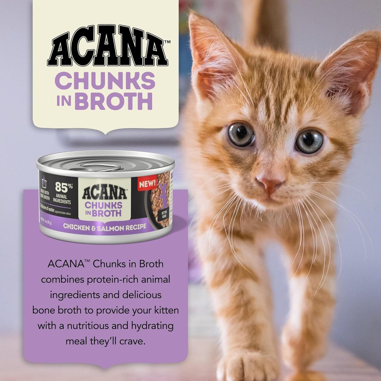 Acana Grain Free Chunks in Broth Kitten Chicken & Salmon Wet Cat Food (3oz) from The Family Pet