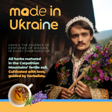 Immune System Support Herbal Tea, 60 Bags from Aprika Life