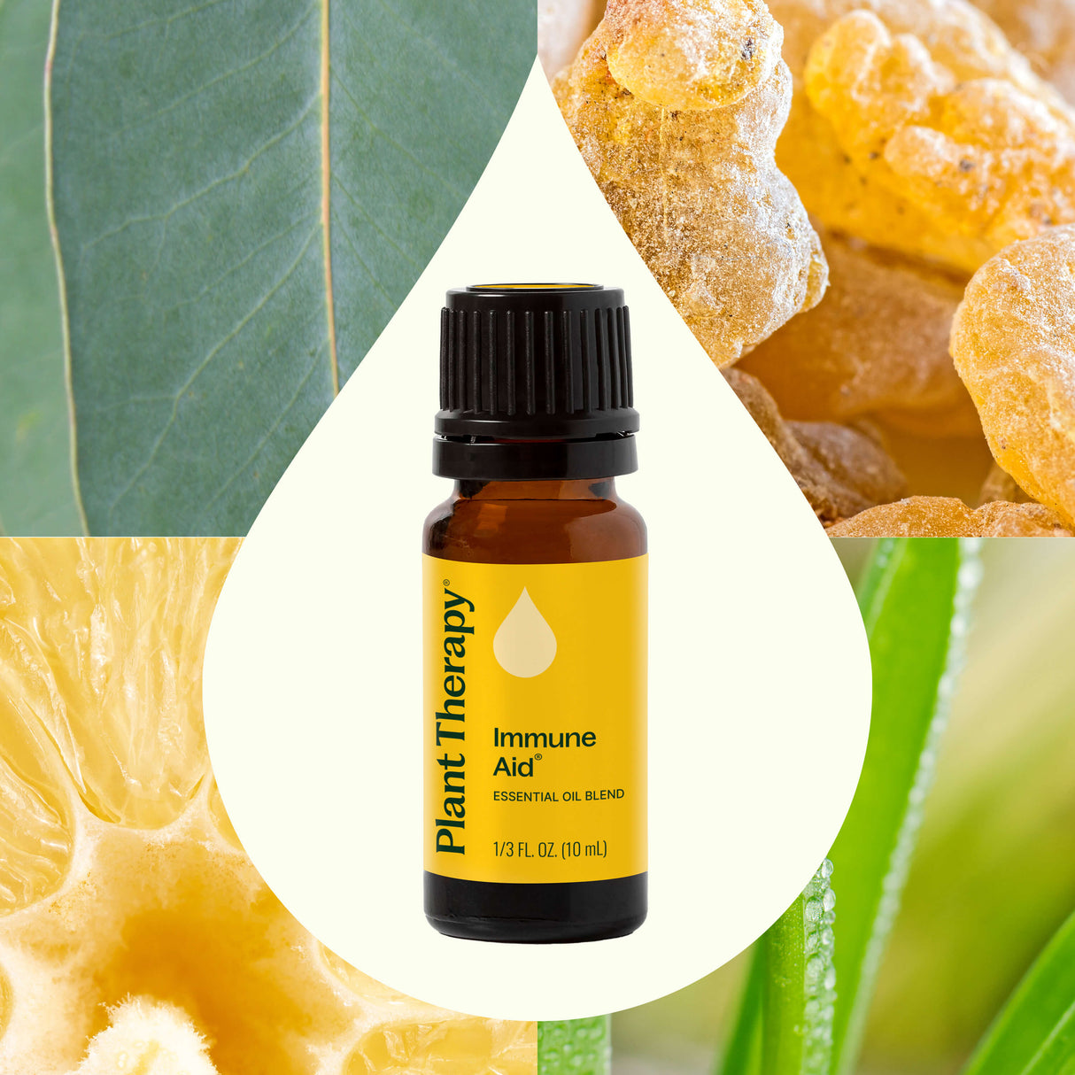 Immune Aid Essential Oil Blend from Plant Therapy