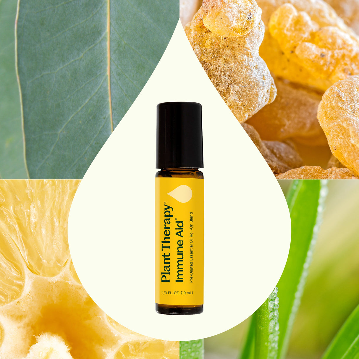 Immune Aid Essential Oil Blend Pre-Diluted Roll-On from Plant Therapy