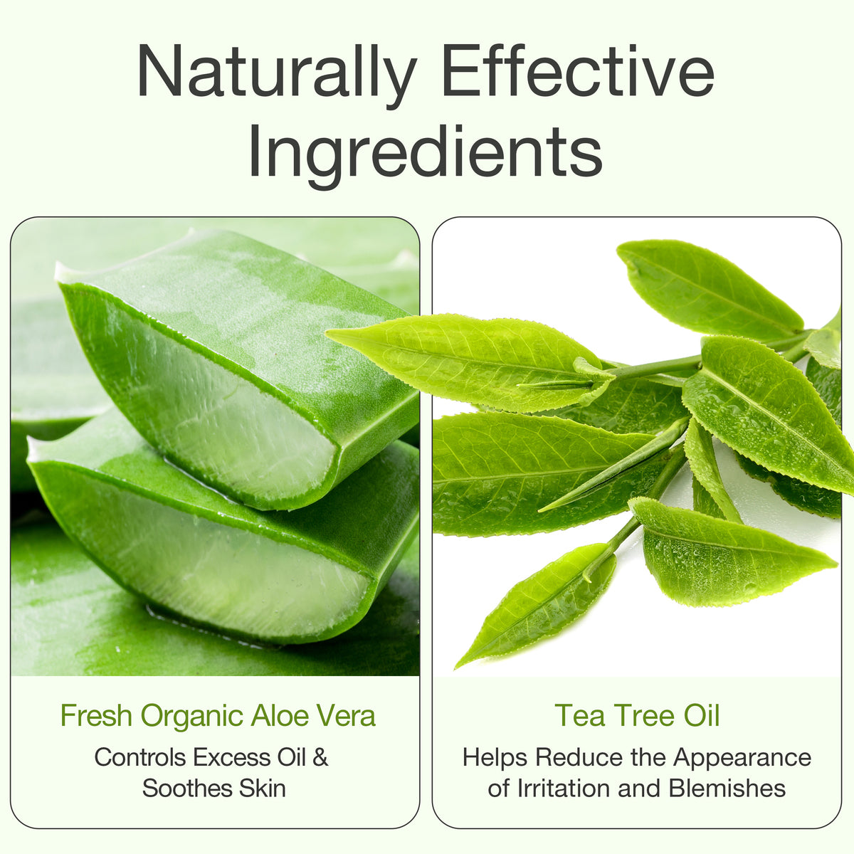 Pure Aloe Vera Gel + Tea Tree Oil from ALODERMA