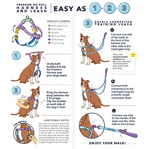 Paw Paisley Freedom No-Pull Dog Harness – Earthstyle from 2 Hounds Design