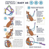BFF (Best Friends Forever) Double Connection Leash – EarthStyle from 2 Hounds Design