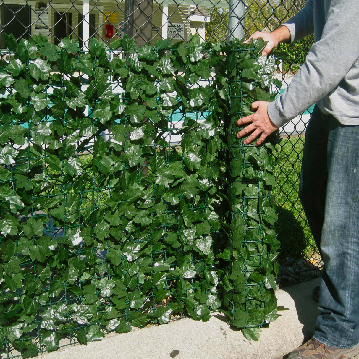 Artificial Privacy Ivy Roll 33 Square Foot / 118" x 40" from Designer Plants USA