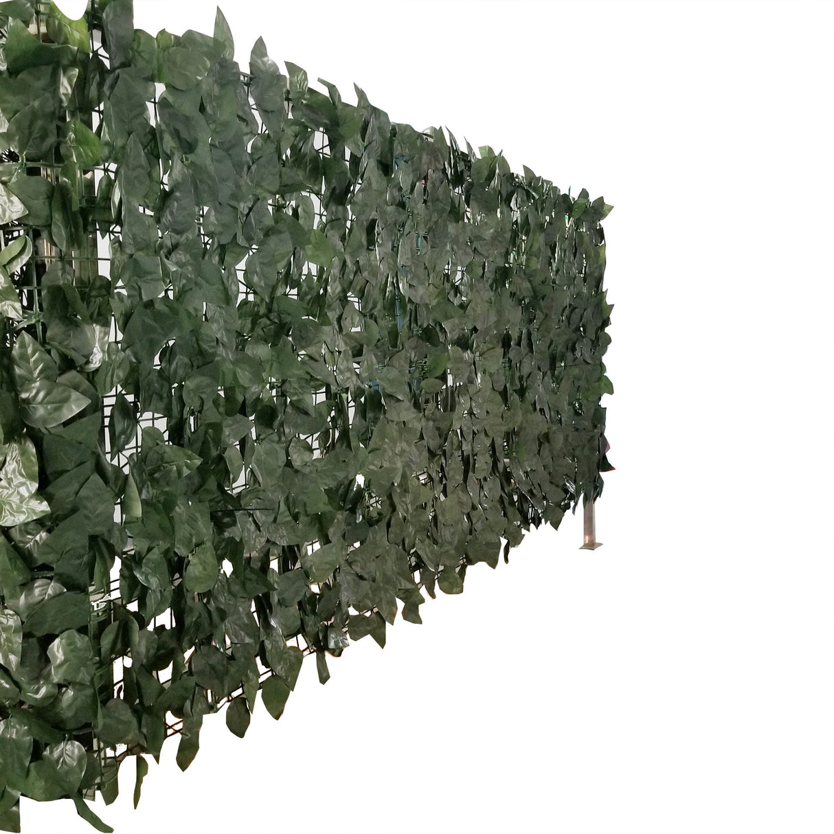 Artificial Privacy Ivy Roll 33 Square Foot / 118" x 40" from Designer Plants USA