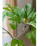 Artificial Faux Fig Leaf Stem From Rustic Reach