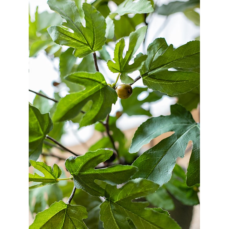Artificial Faux Fig Leaf Stem From Rustic Reach