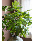 Artificial Faux Fig Leaf Stem From Rustic Reach