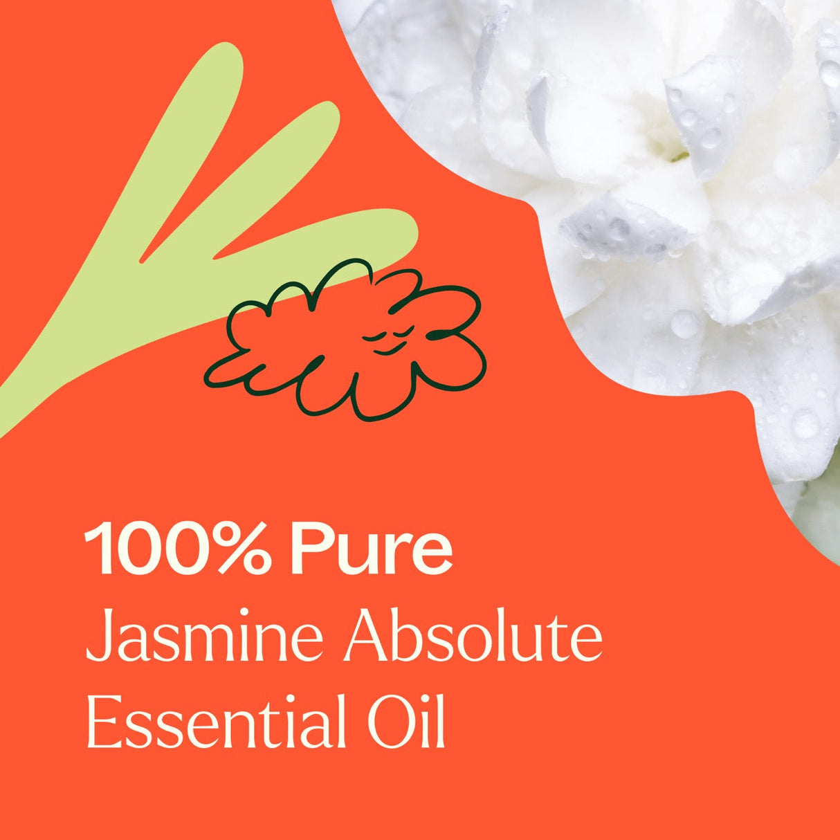 Jasmine Sambac Absolute from Plant Therapy
