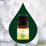 Jasmine Sambac Absolute from Plant Therapy