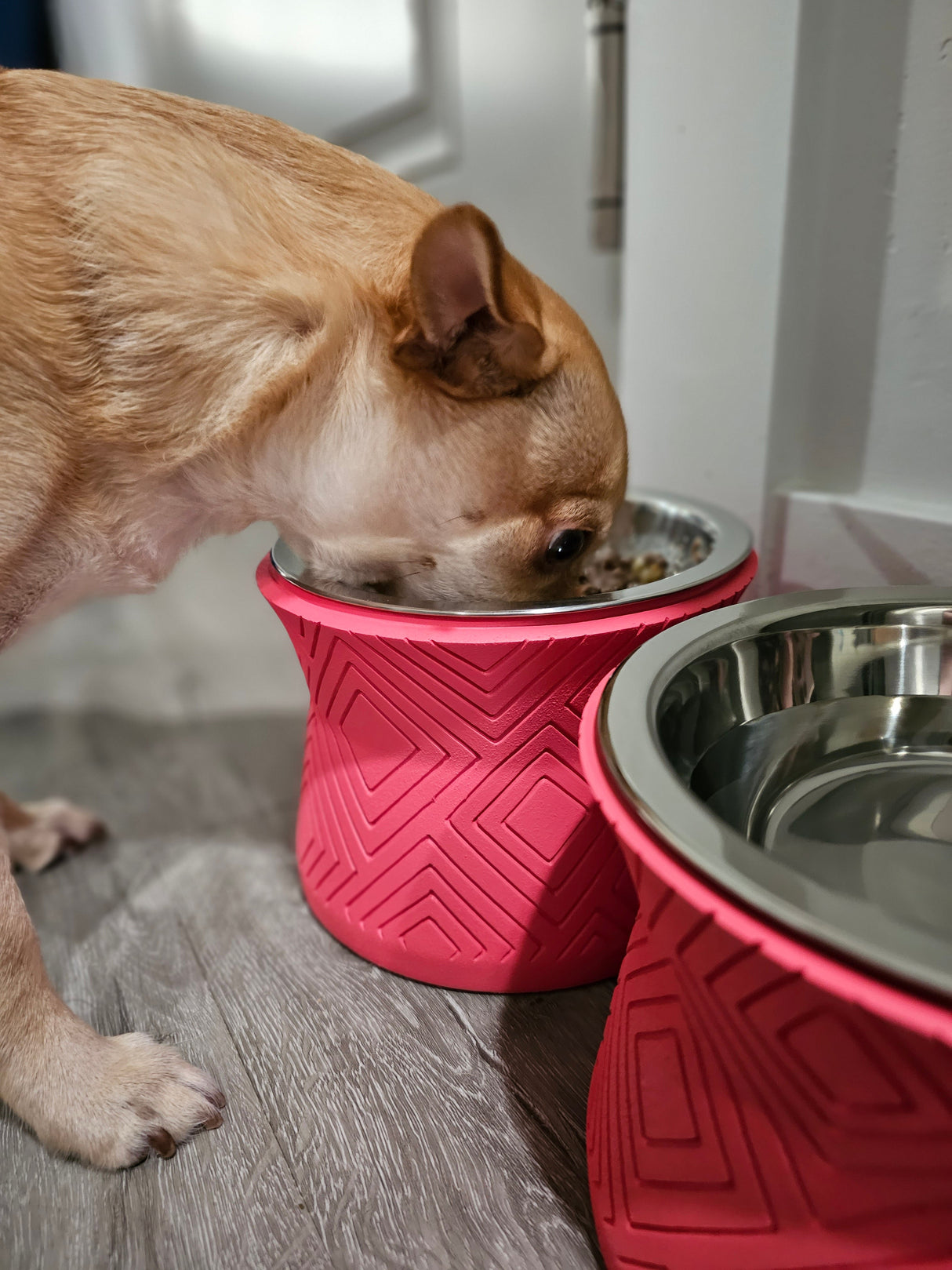 Santa Fe Modern Elevated Dog Bowl from Pet Junkie