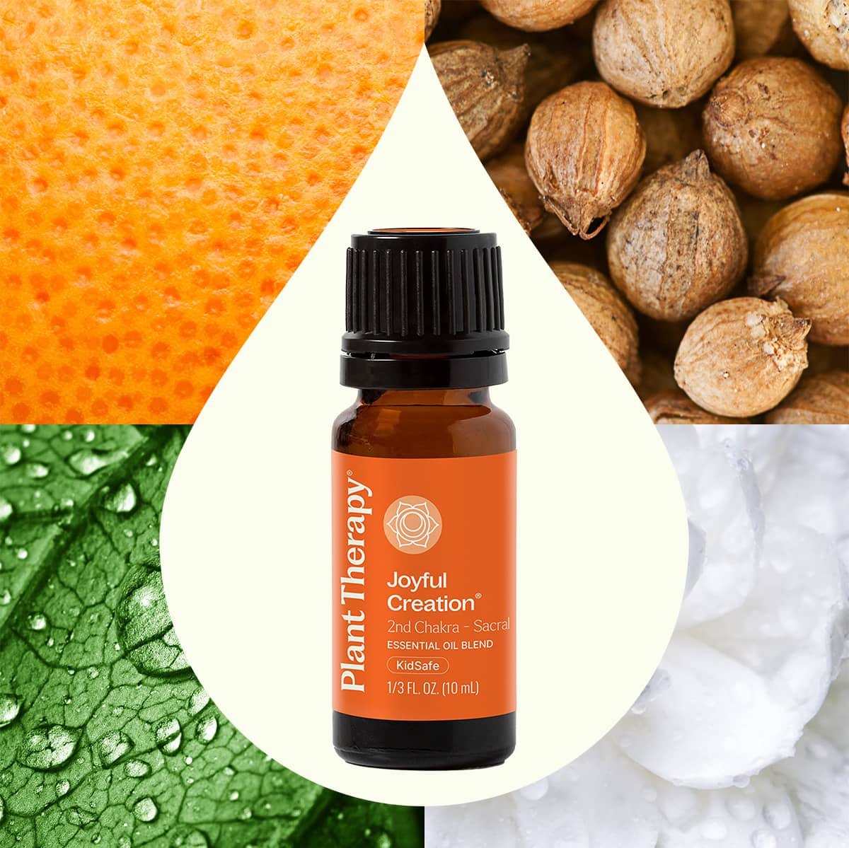 Joyful Creation (Sacral Chakra) Essential Oil from Plant Therapy