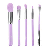 Ultra Pastel Brush Set From Prolux Cosmetics