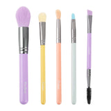 Ultra Pastel Brush Set From Prolux Cosmetics