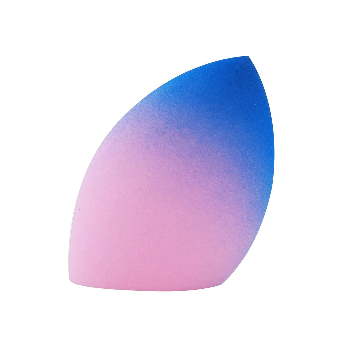 Fade Into You Sponge from Prolux Cosmetics