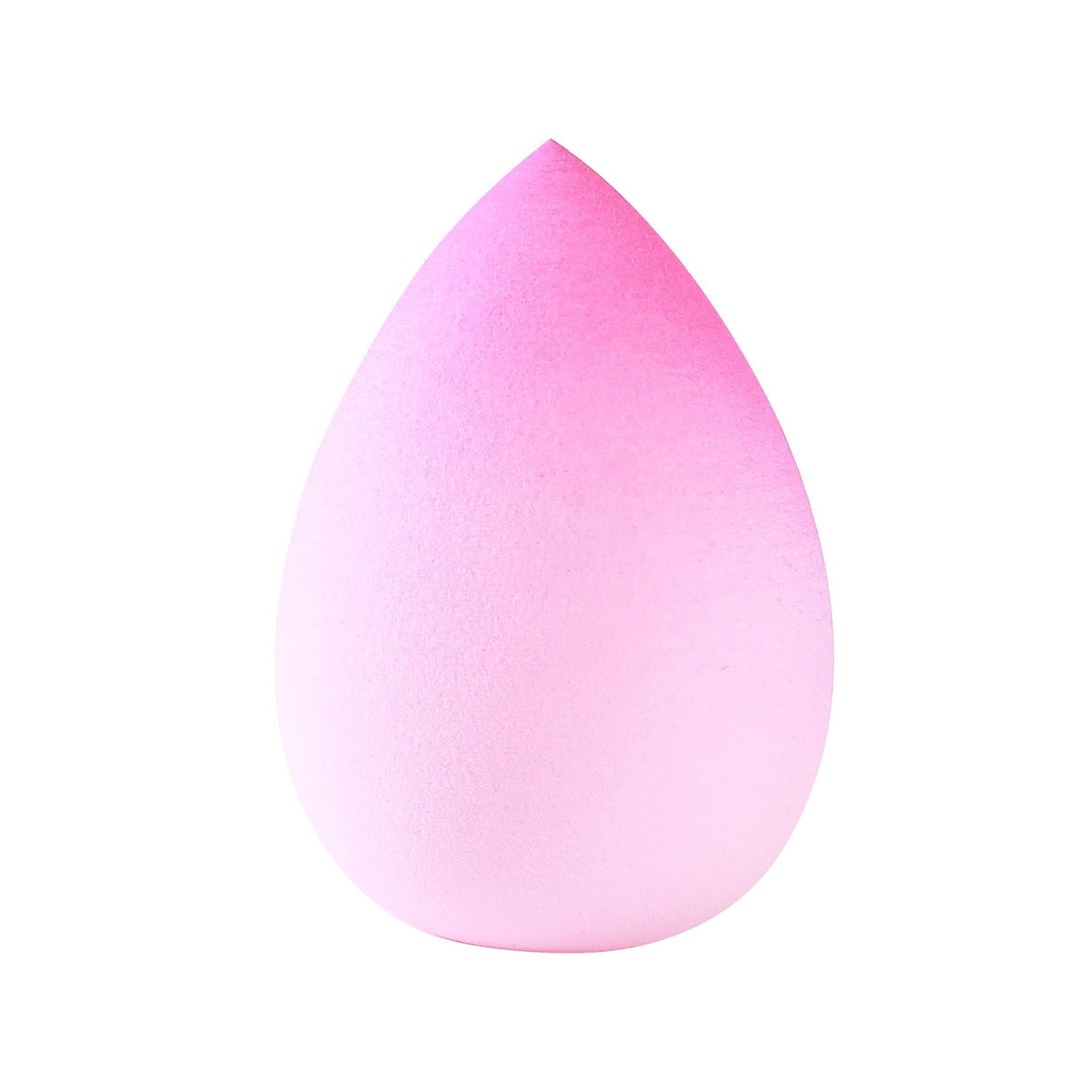 Fade Into You Sponge from Prolux Cosmetics
