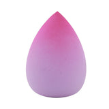 Fade Into You Sponge from Prolux Cosmetics
