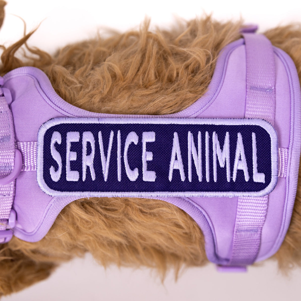 Service Animal 2x6 Patch from K9 Sport Sack