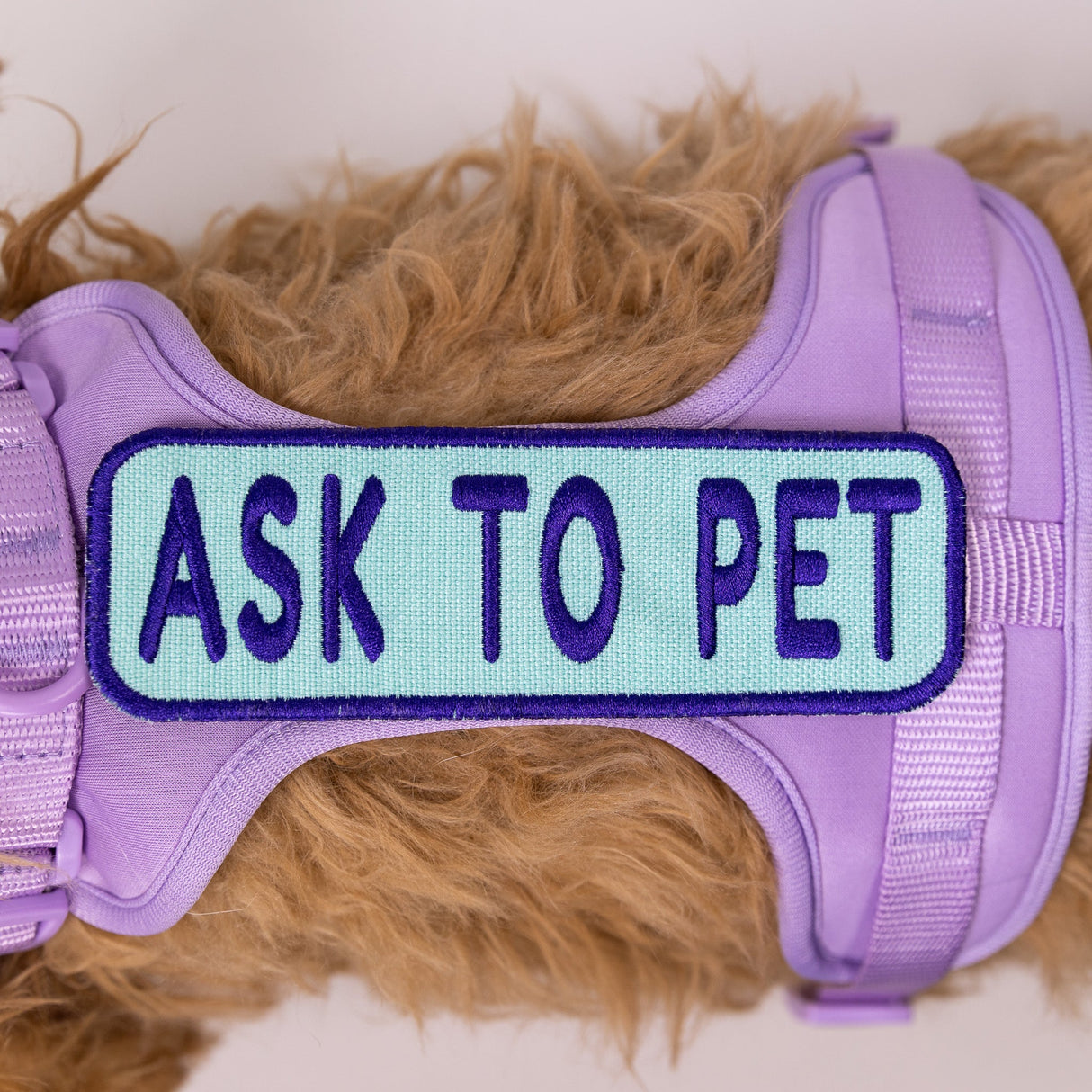 Ask to Pet 2x6 Patch from K9 Sport Sack