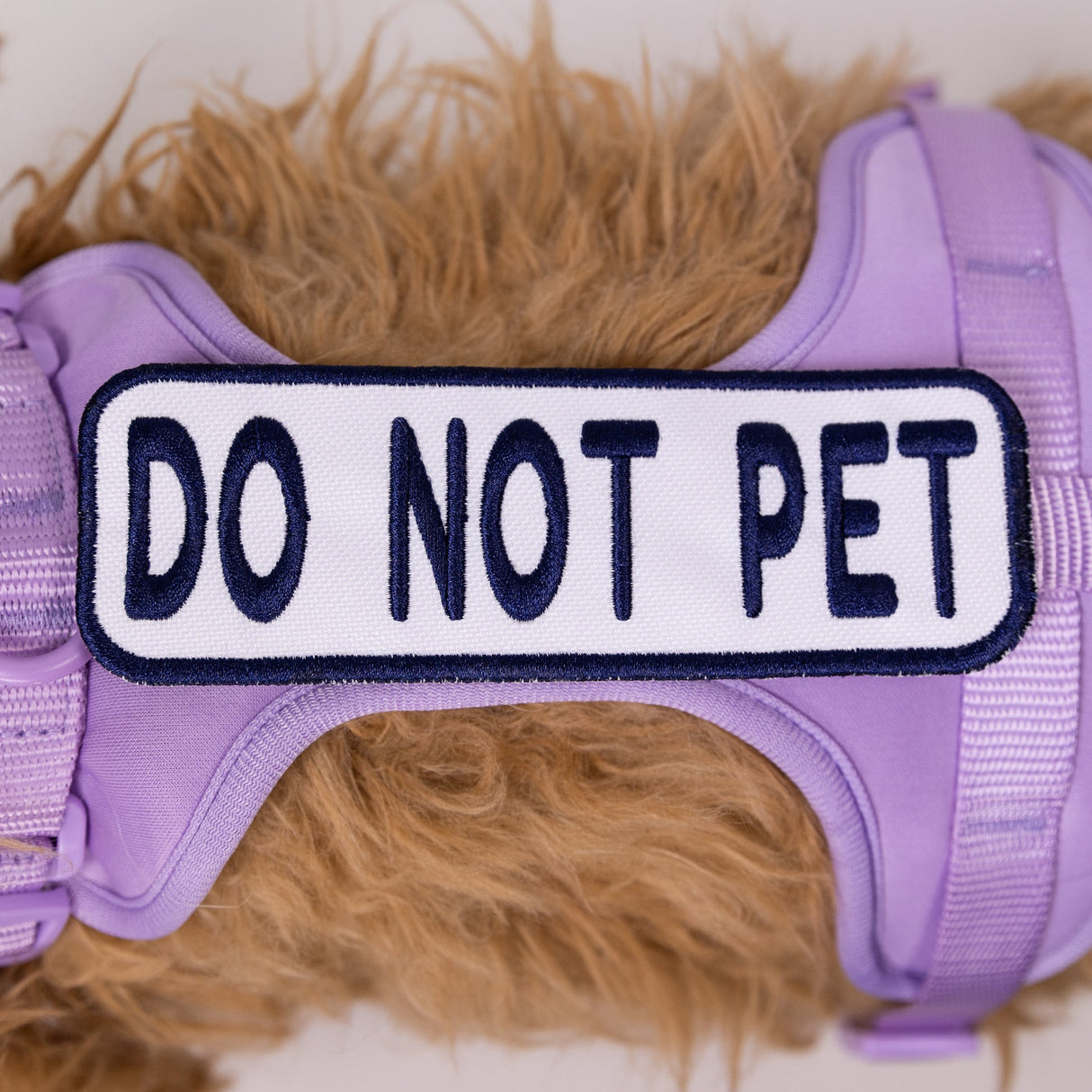 Do Not Pet 2x6 Patch from K9 Sport Sack