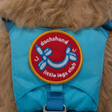 Dachshund Little Legs Club Patch from K9 Sport Sack