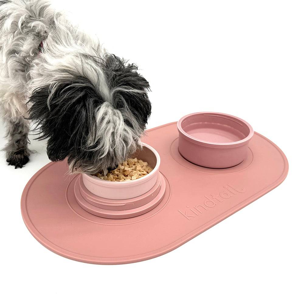 Portable & Travel Dog Bowl from KindTail