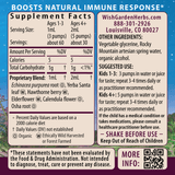 Kick-It Immune Activator For Kids from WishGarden Herbs