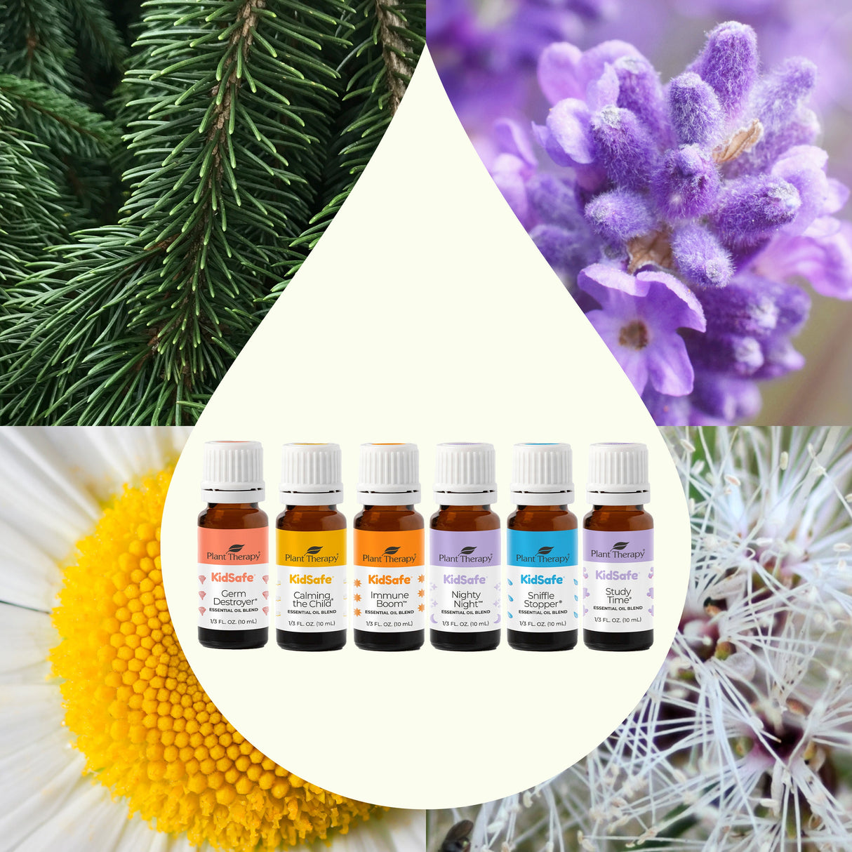 KidSafe Starter Pack 10 mL from Plant Therapy