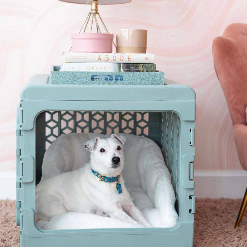PAWD®  Modern Collapsible Dog Crate from KindTail