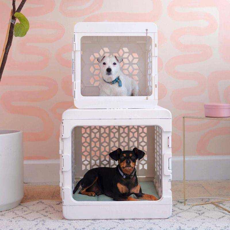 PAWD®  Modern Collapsible Dog Crate from KindTail
