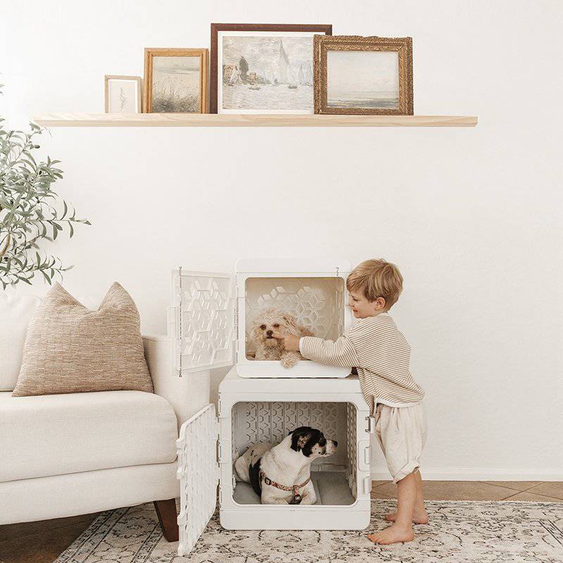 PAWD®  Modern Collapsible Dog Crate from KindTail