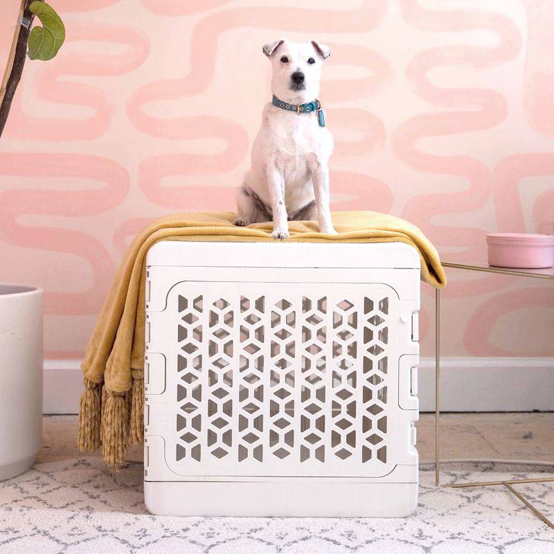 PAWD®  Modern Collapsible Dog Crate from KindTail