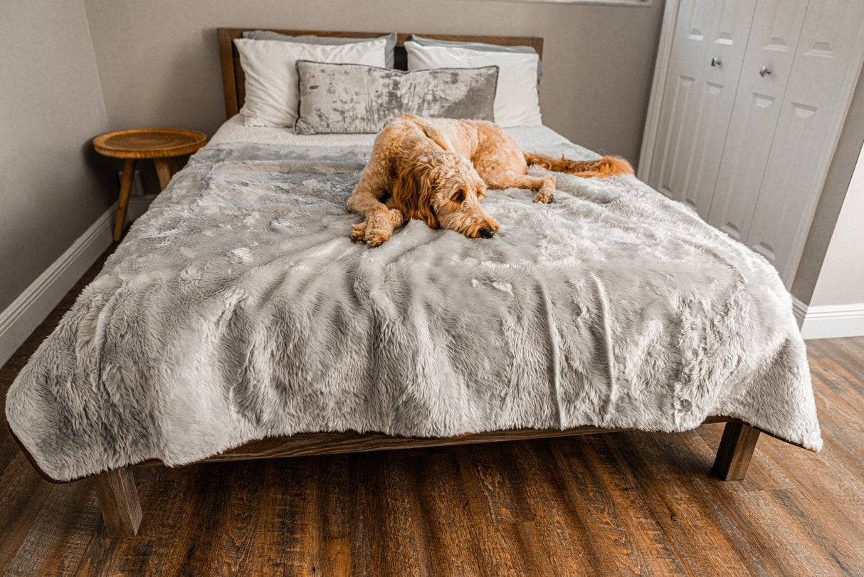 PupProtector™ Summer Short Fur Waterproof Throw Blanket - Grey from Paw.com