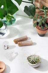 Kissable Lips / Chapstick Lip Balm / PAPERBOARD Tube from Butter Me Up Organics
