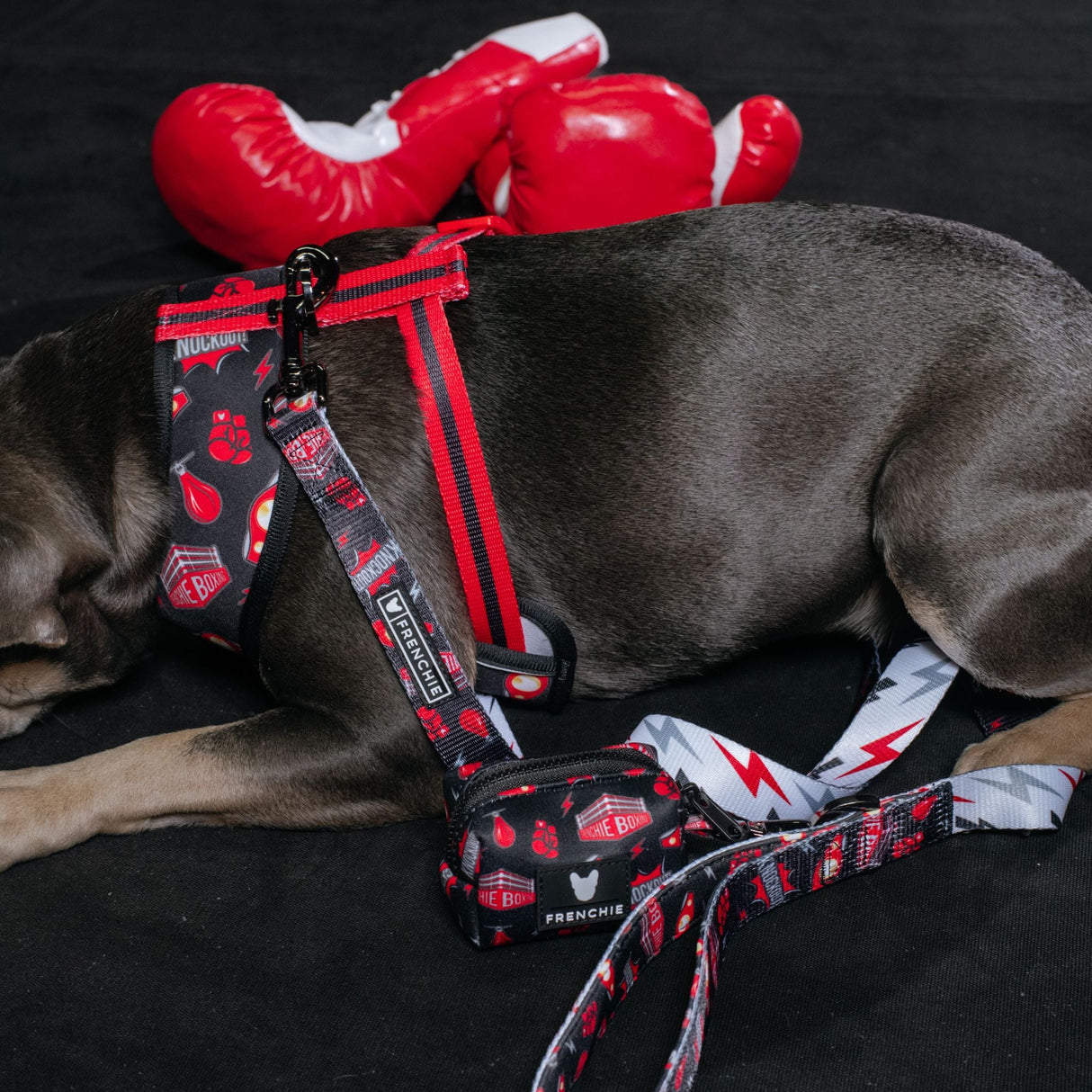 Frenchie Duo Reversible Harness - Knockout from Frenchie Bulldog