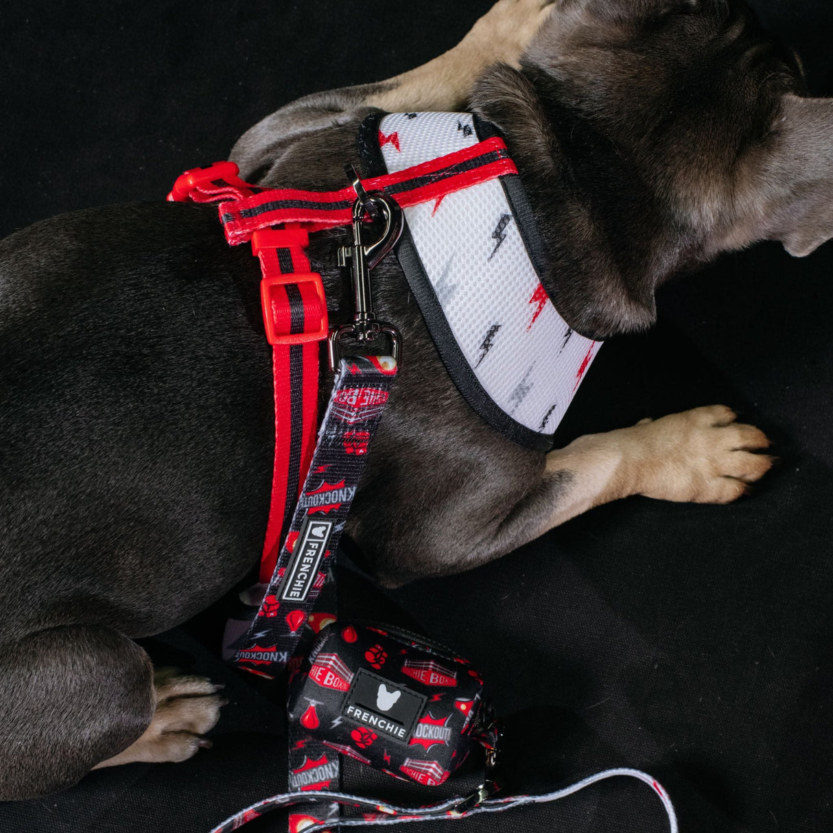 Frenchie Duo Reversible Harness - Knockout from Frenchie Bulldog