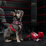 Frenchie Duo Reversible Harness - Knockout from Frenchie Bulldog