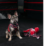Frenchie Duo Reversible Harness - Knockout from Frenchie Bulldog
