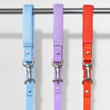 Dog Leash from Springer