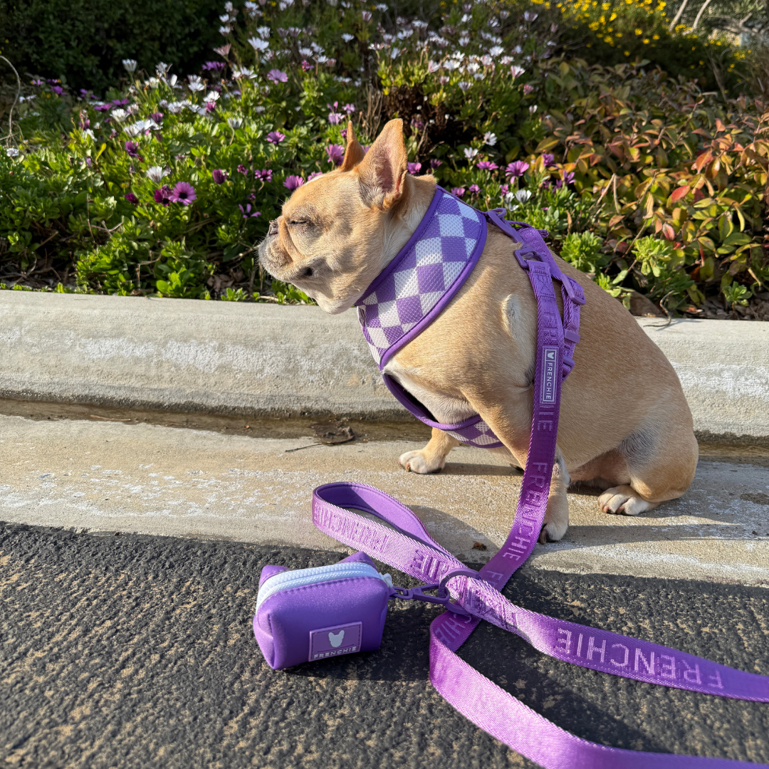 Frenchie Duo Reversible Harness - LA Purple from Frenchie Bulldog