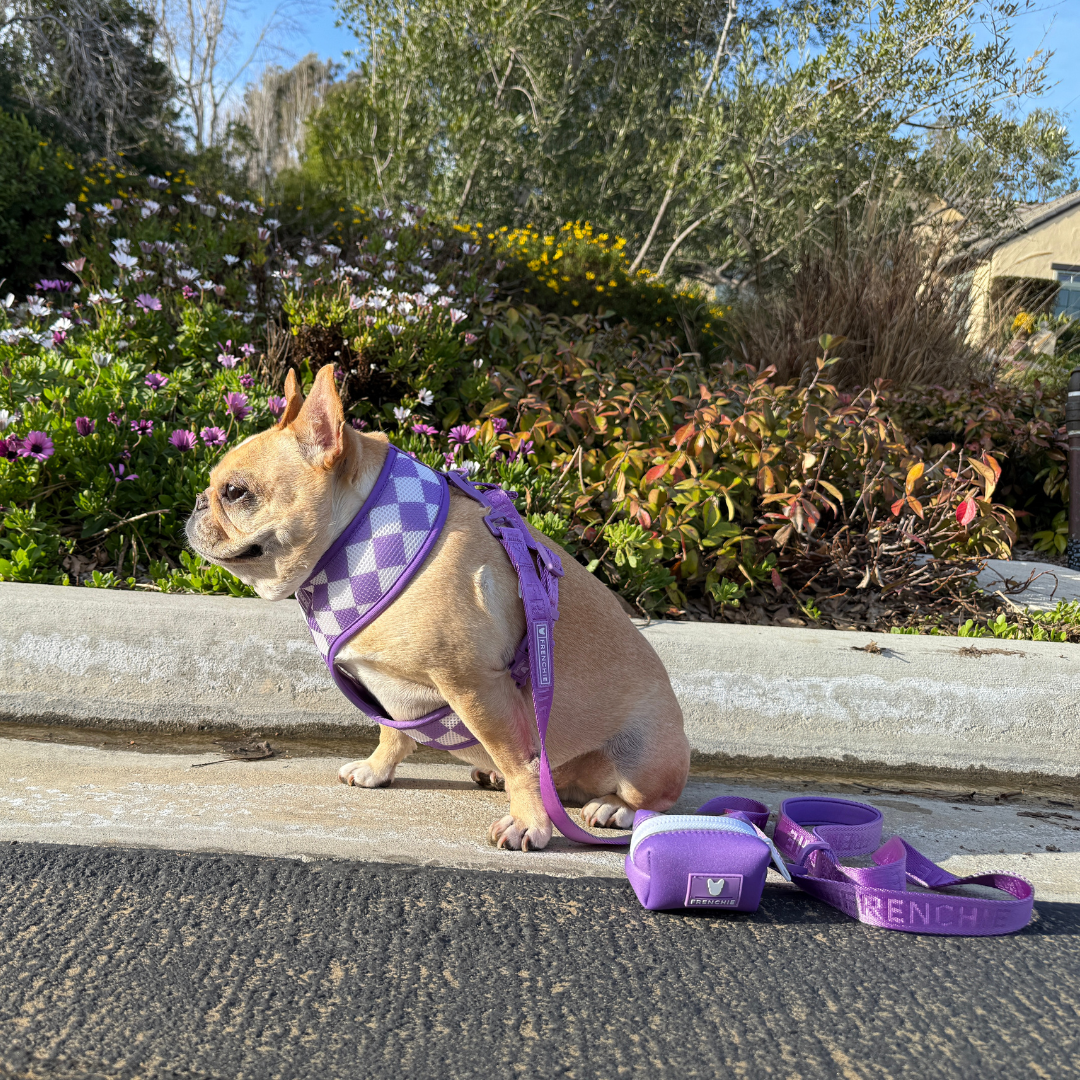 Frenchie Poo Bag Holder - LA Purple from Frenchie Bulldog