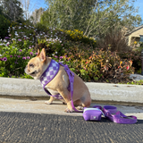 Frenchie Poo Bag Holder - LA Purple from Frenchie Bulldog