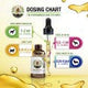 LIVER HEALTH/ Liver Support Remedy from ReNewedPet